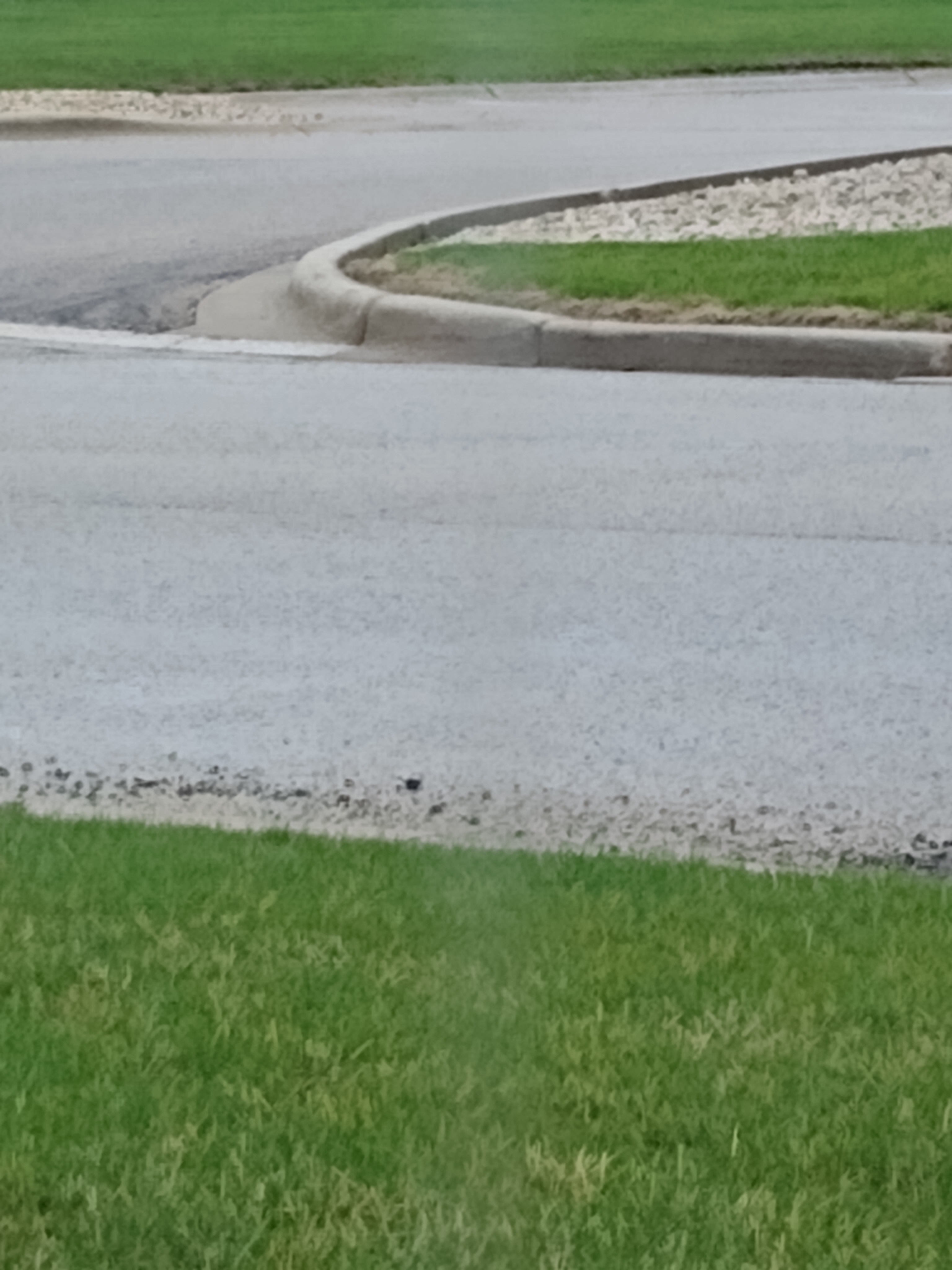 Lawndale Landscaping and Lawn Care logo