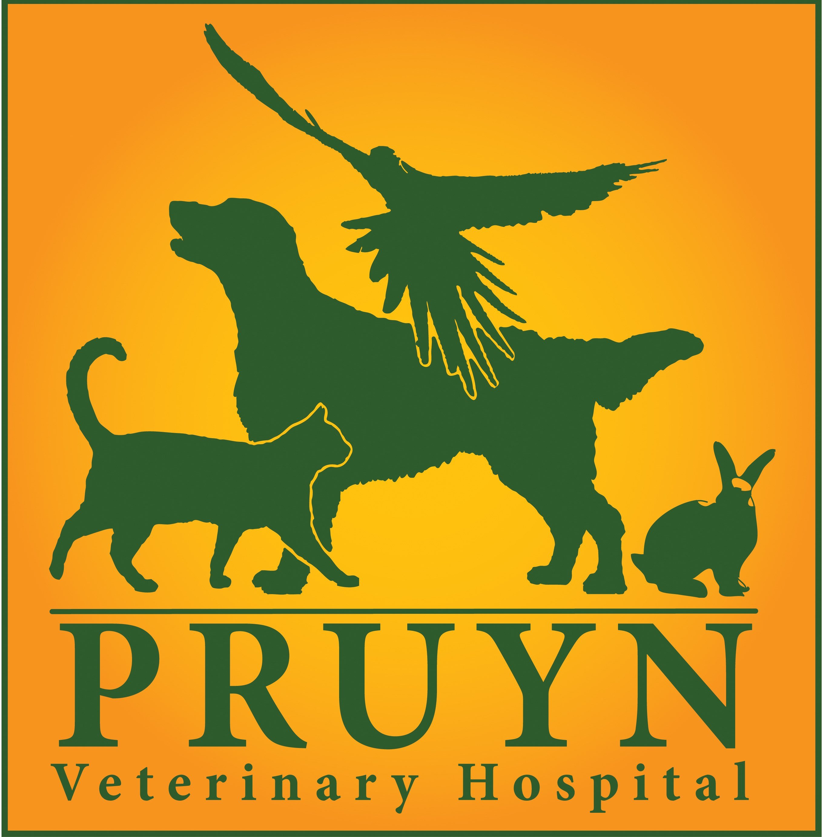 Logo for PRUYN VETERINARY HOSPITAL