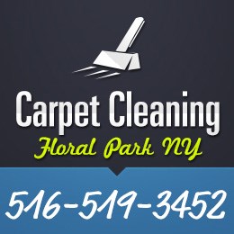 Carpet Cleaning Floral Park NY logo