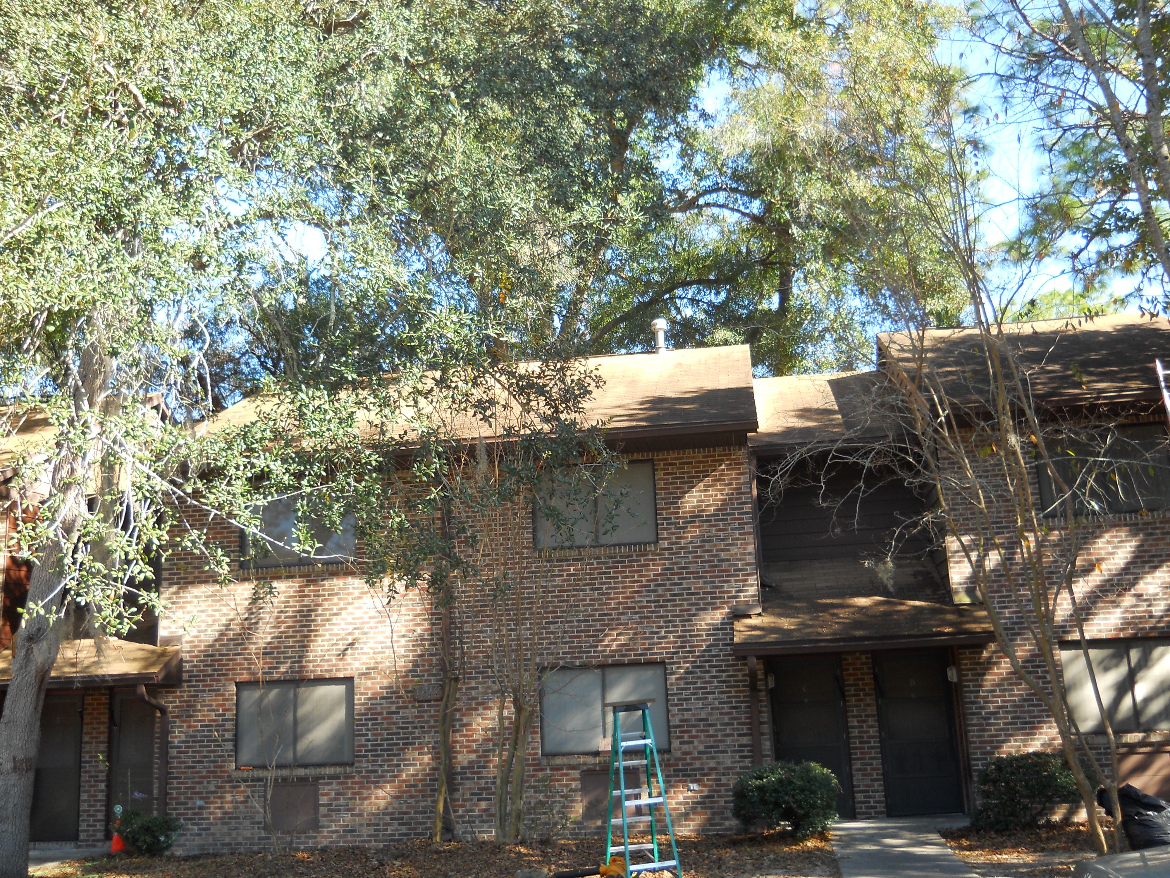 Avatar for The Gutter Guy