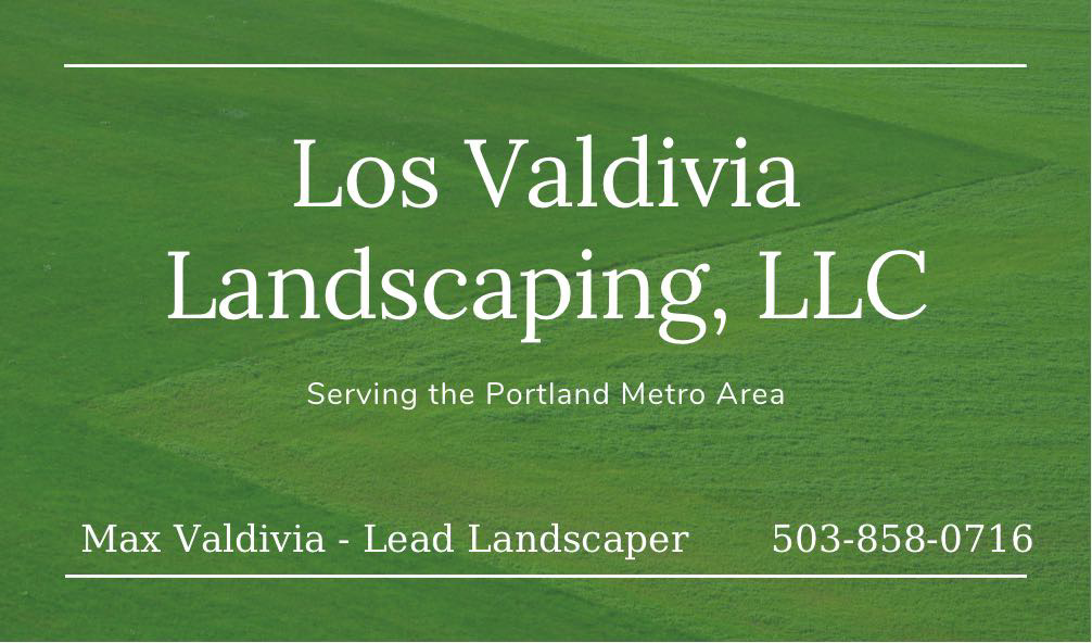 Avatar for Los Valdivias Landscaping