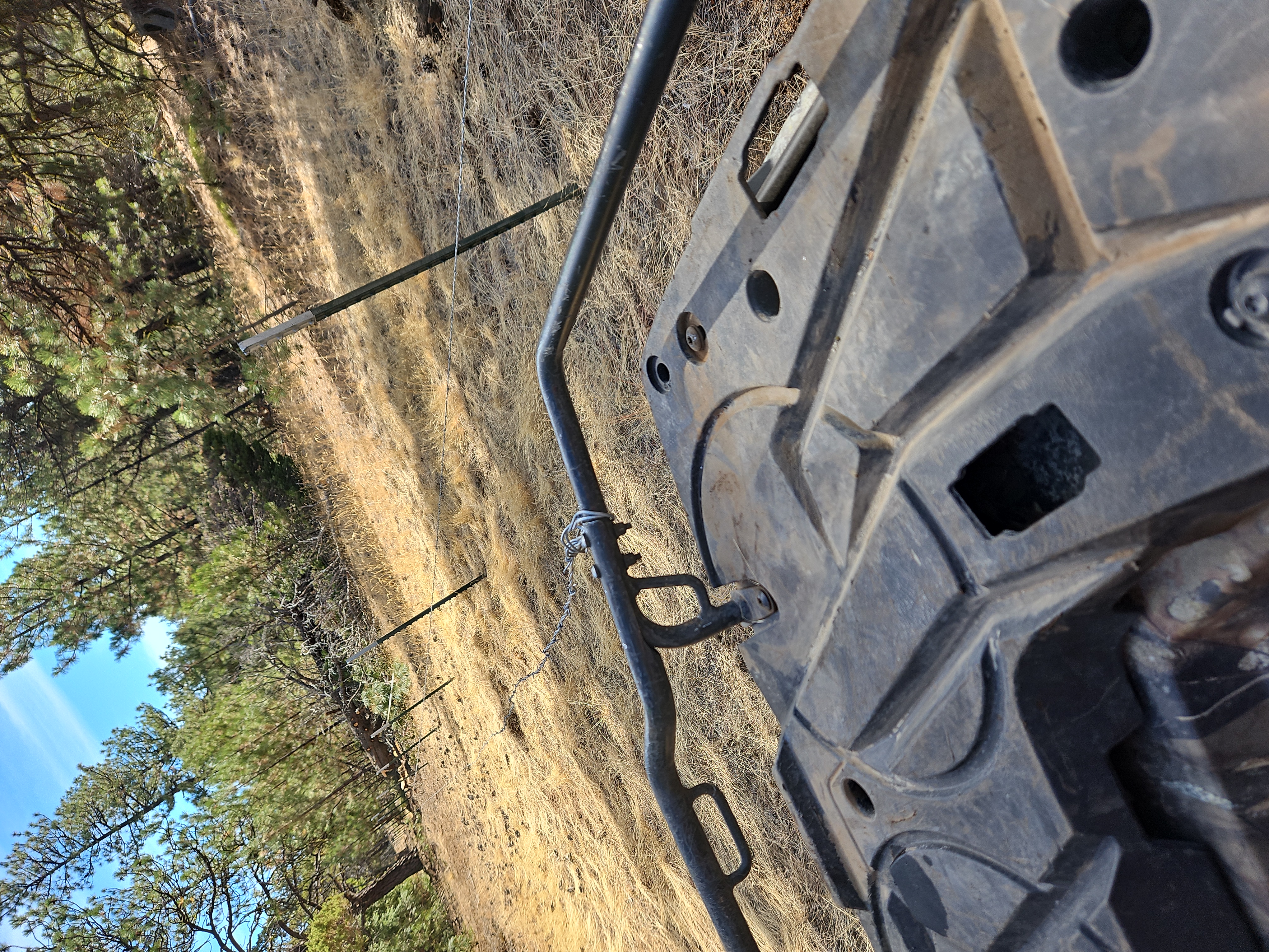 Avatar for Morton fencing 