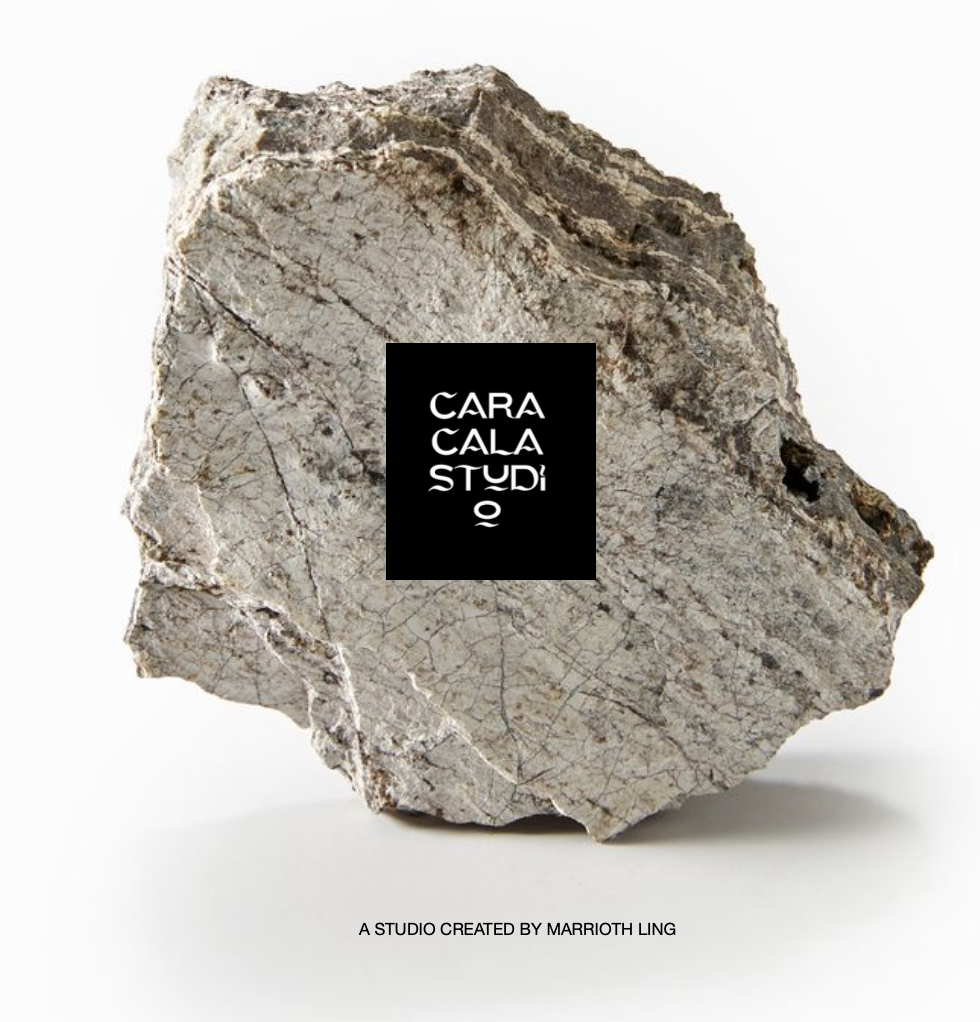 Avatar for caracala llc 