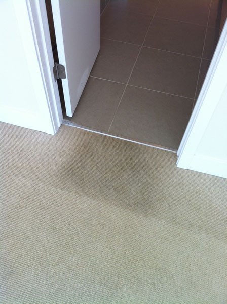 Before and after carpet cleaning columbia md