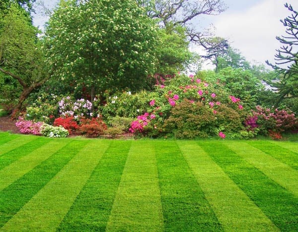 Avatar for Norm's Landscaping & Masonry