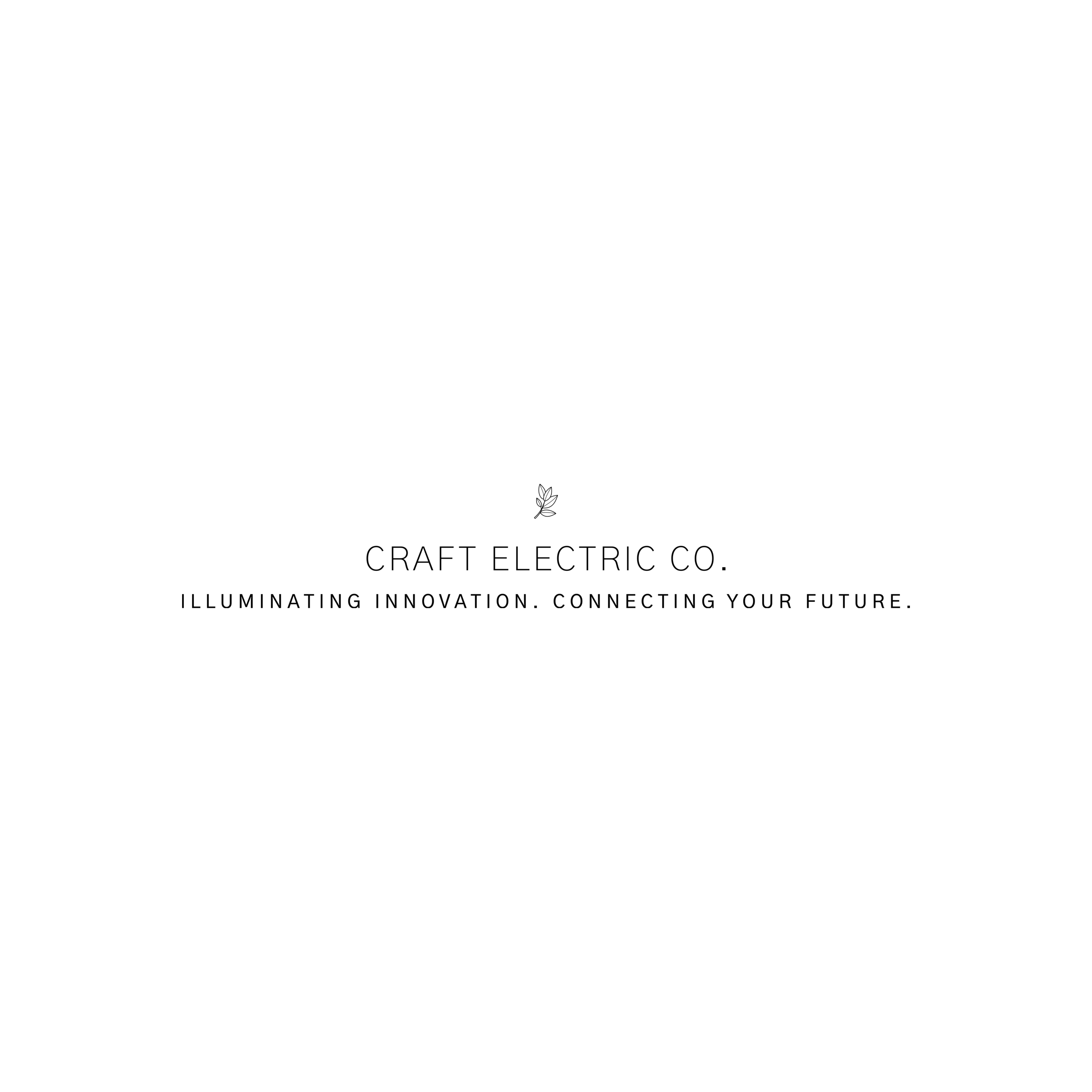 Avatar for Craft Electric Co.