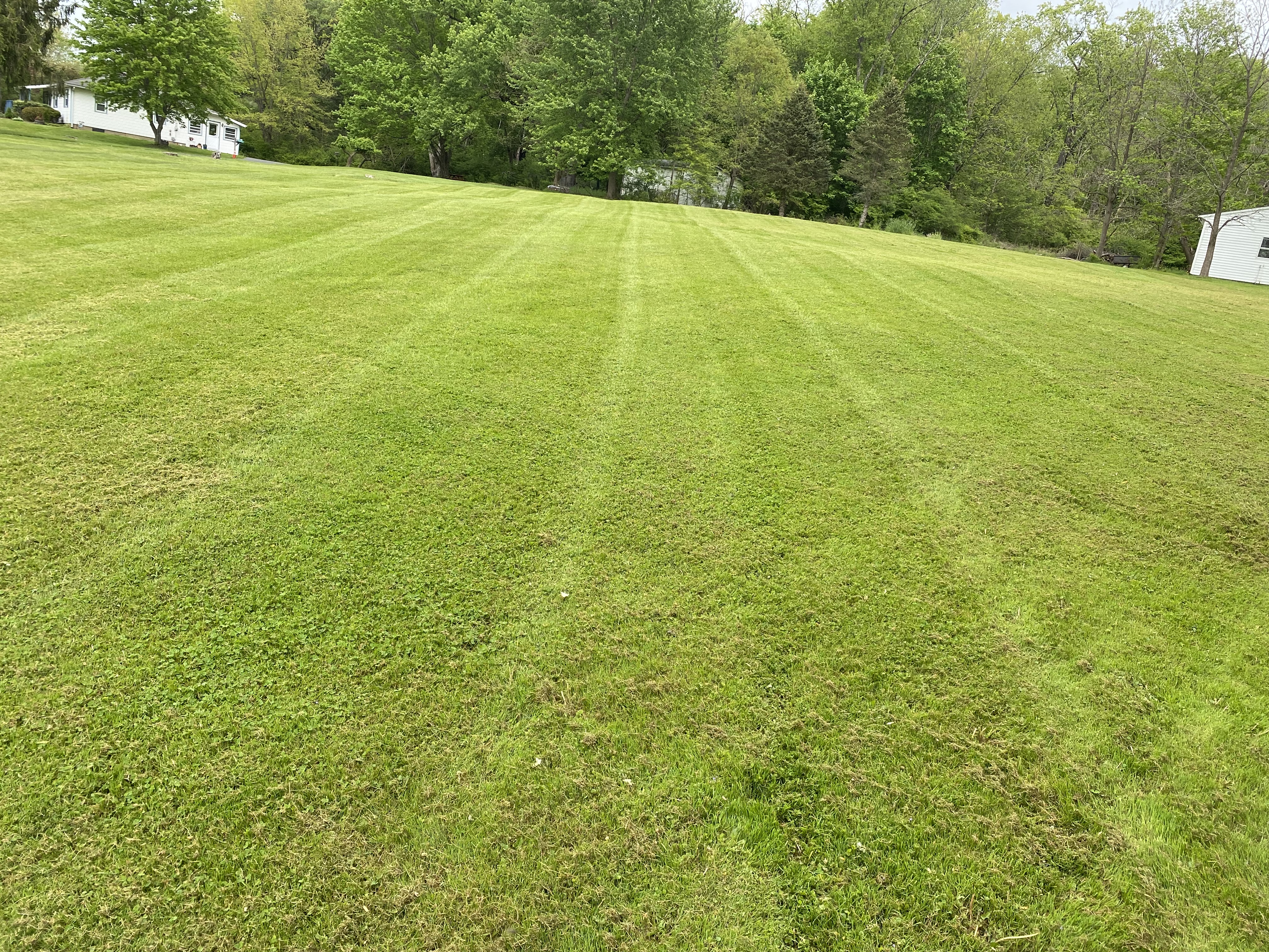 Avatar for Acelawn & landscape