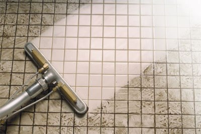 Avatar for Steam Green Carpet Cleaning & Restoration