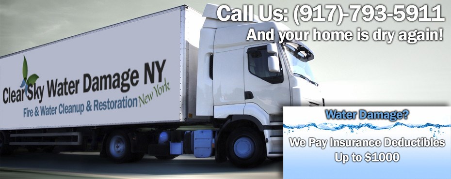 Clear Sky Water Damage of Brooklyn NY logo