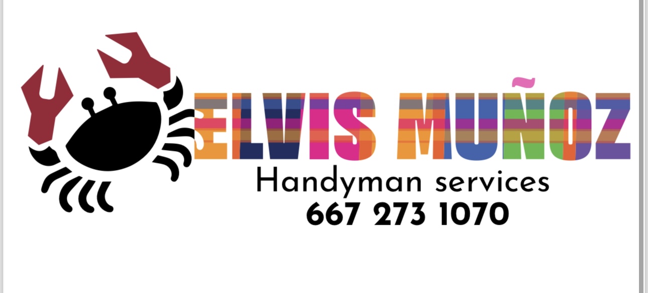 Avatar for Elvis Muñoz Handyman services