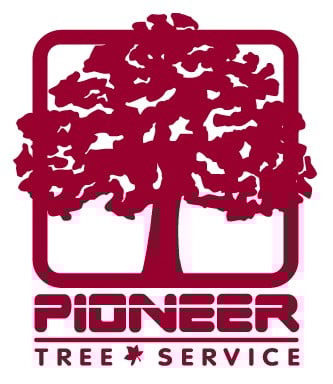 Logo for Pioneer Tree Service