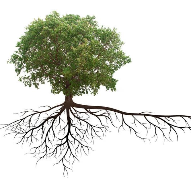 Avatar for Sustainable Land Management