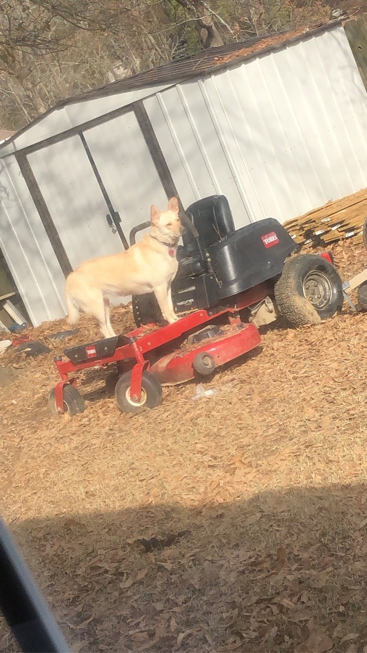 Avatar for A&E Pro Services 