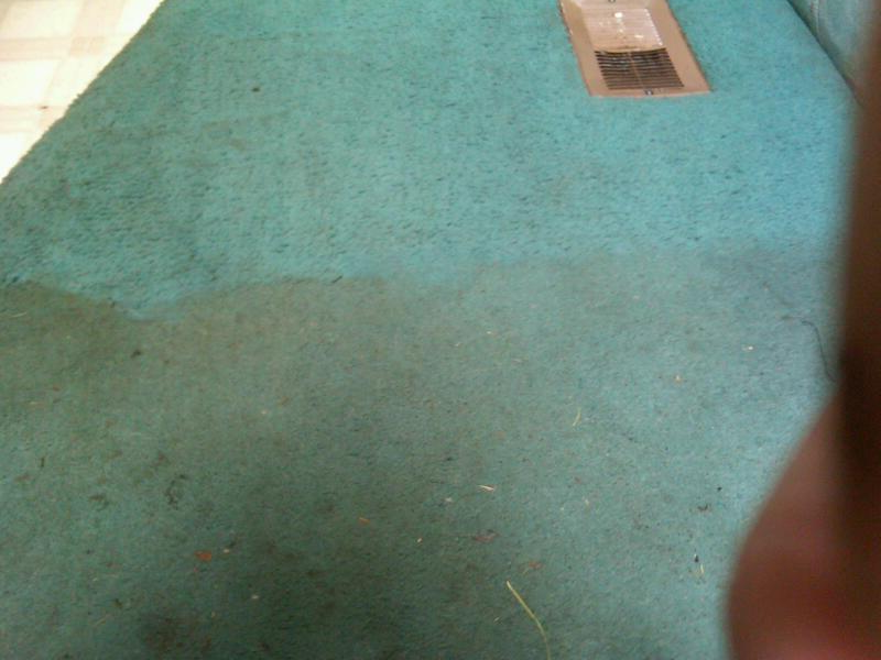 Avatar for Thoro-Clene L C