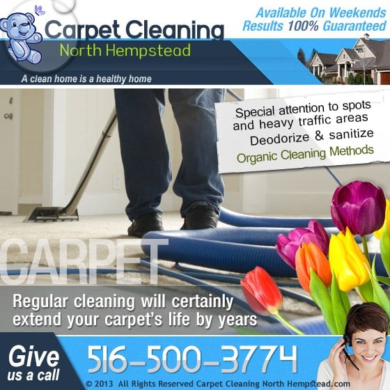Professional Cleaning Services