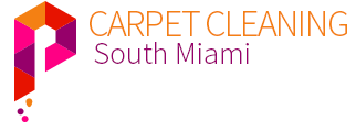 Carpet Cleaning South Miami logo