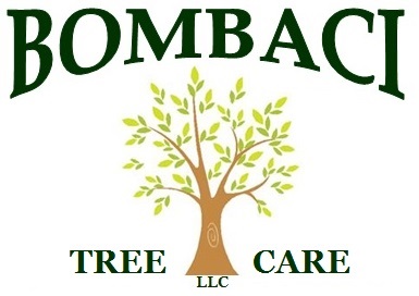 Bombaci Property Services LLC logo