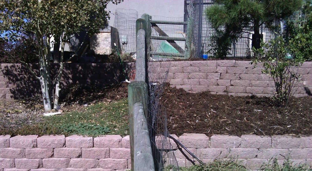 Mulch Replacement 1 of 3