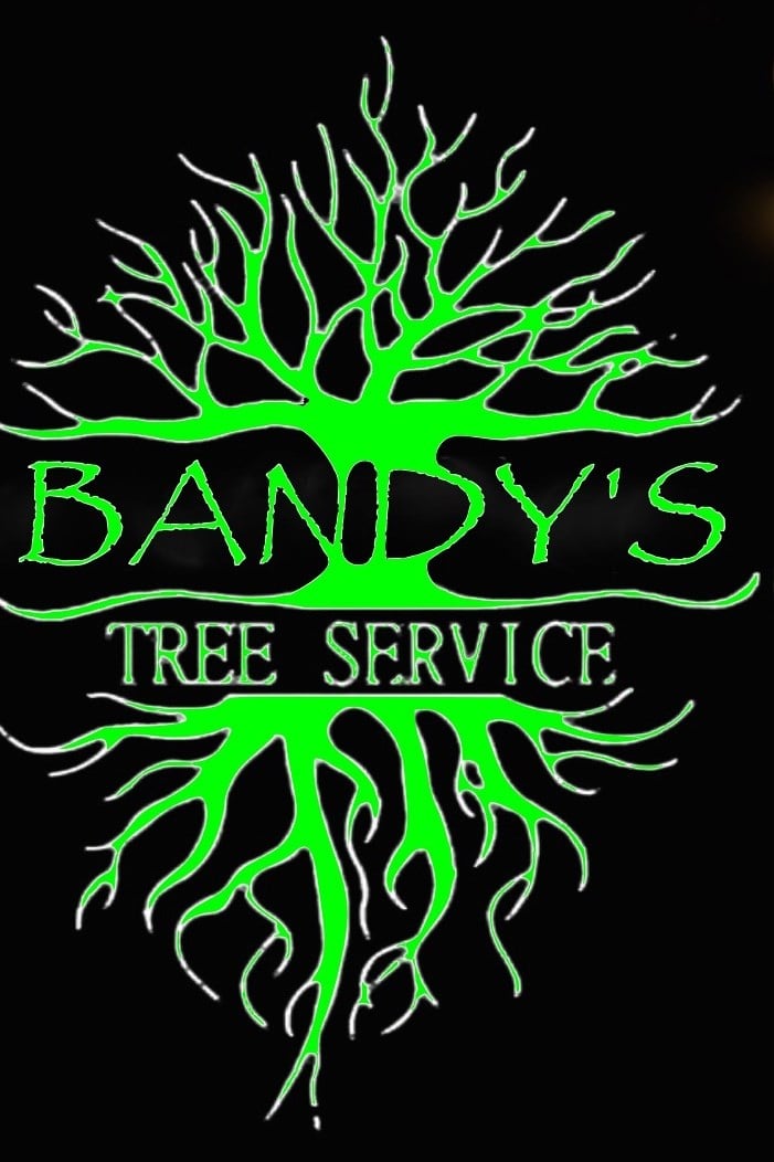 Avatar for Bandy's Tree Service
