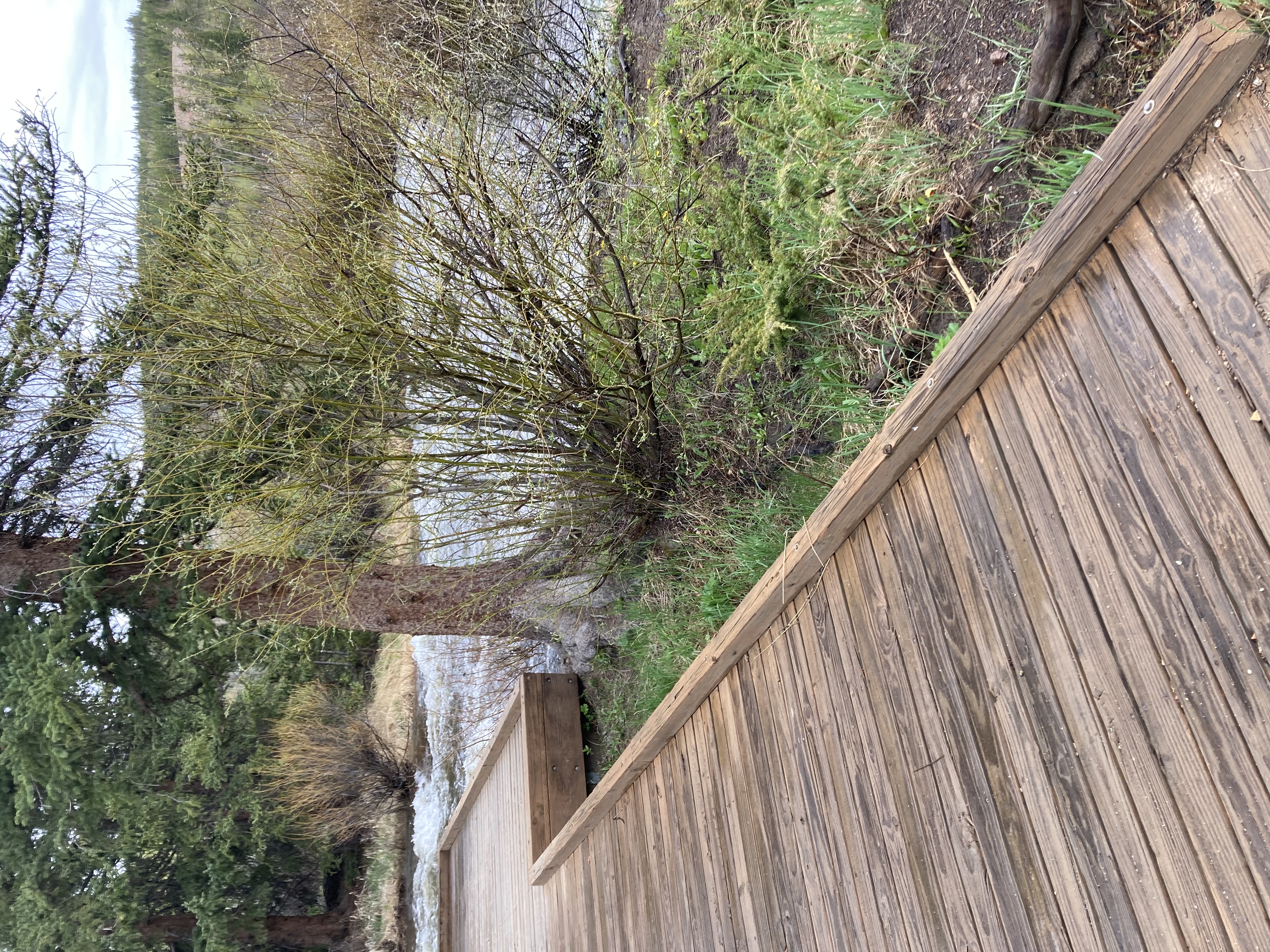 Avatar for KMC Services, LLC