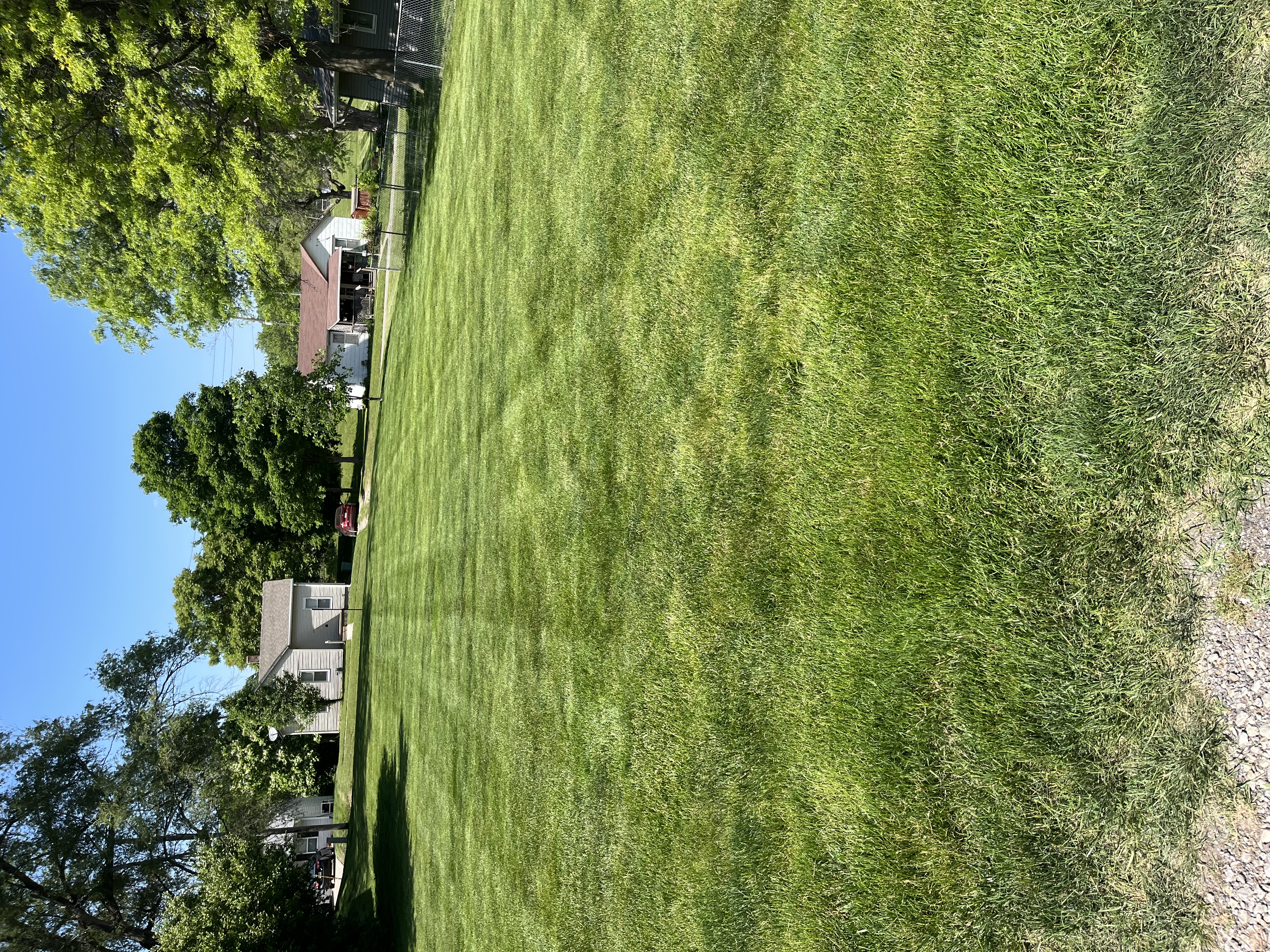 Avatar for Dewdew lawn care