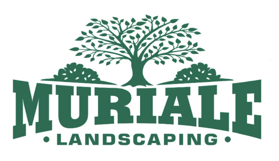 Avatar for Muriale Landscaping