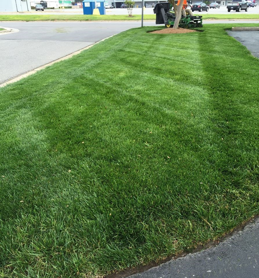 Avatar for Batts Lawnscapes
