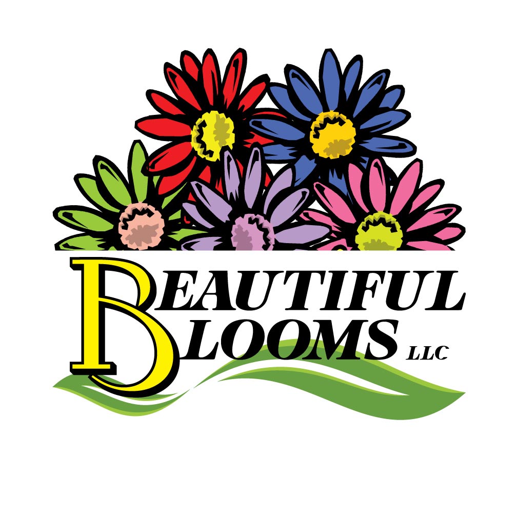 Avatar for BEAUTIFUL BLOOMS LANDSCAPE