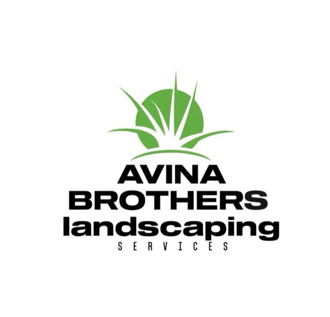 Avatar for Avina brothers