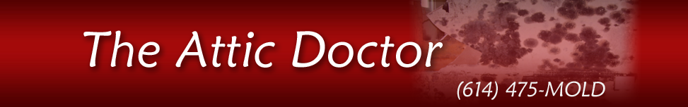Logo for The Attic Doctor