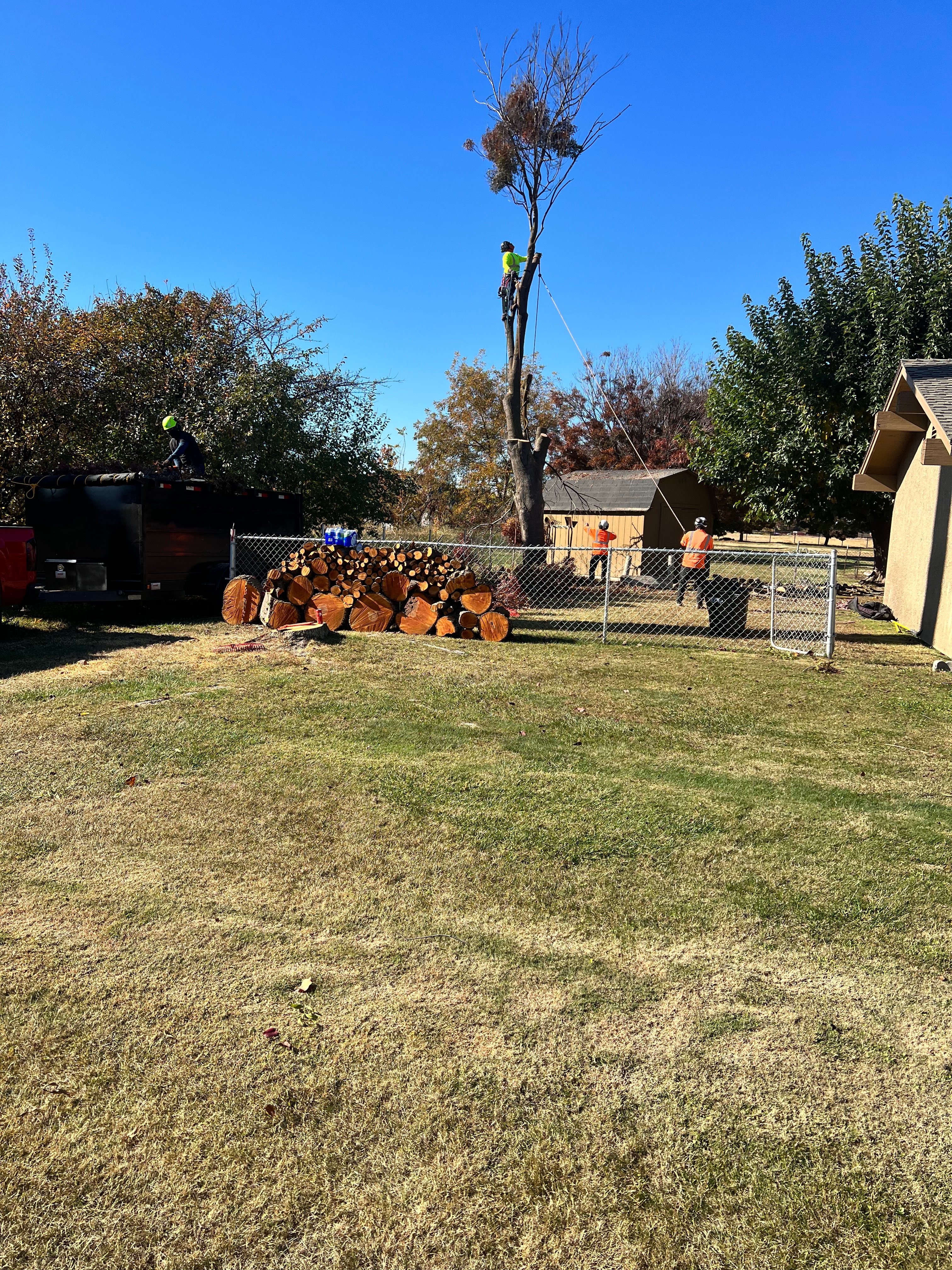 Avatar for Brother tree service