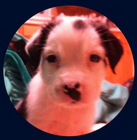 Avatar for Gurram Home Improvement & Consulting