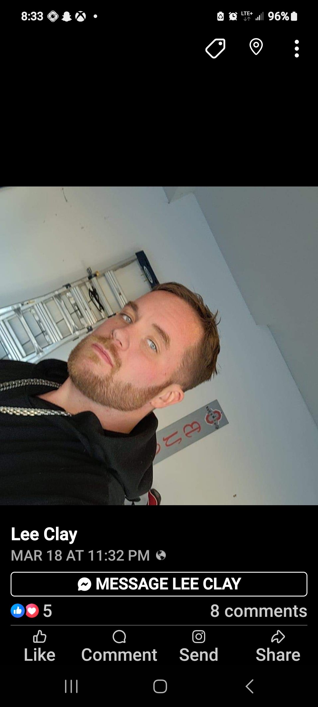 Avatar for Chimney swift