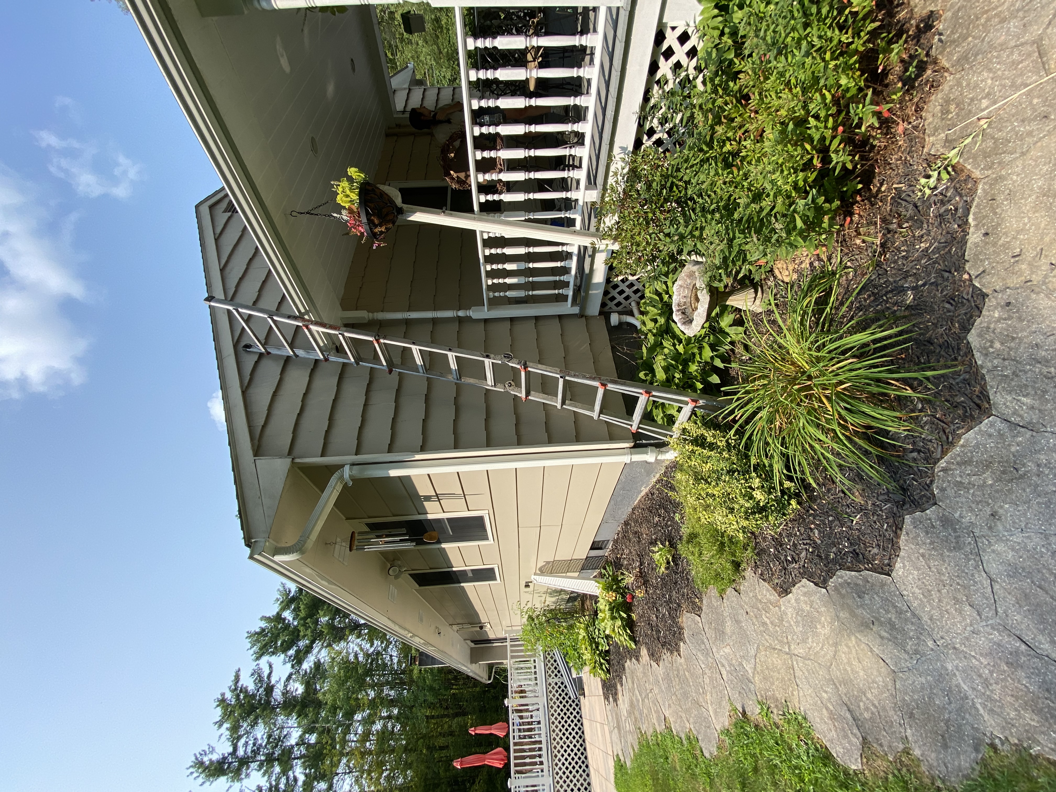 Avatar for Amirah Paints