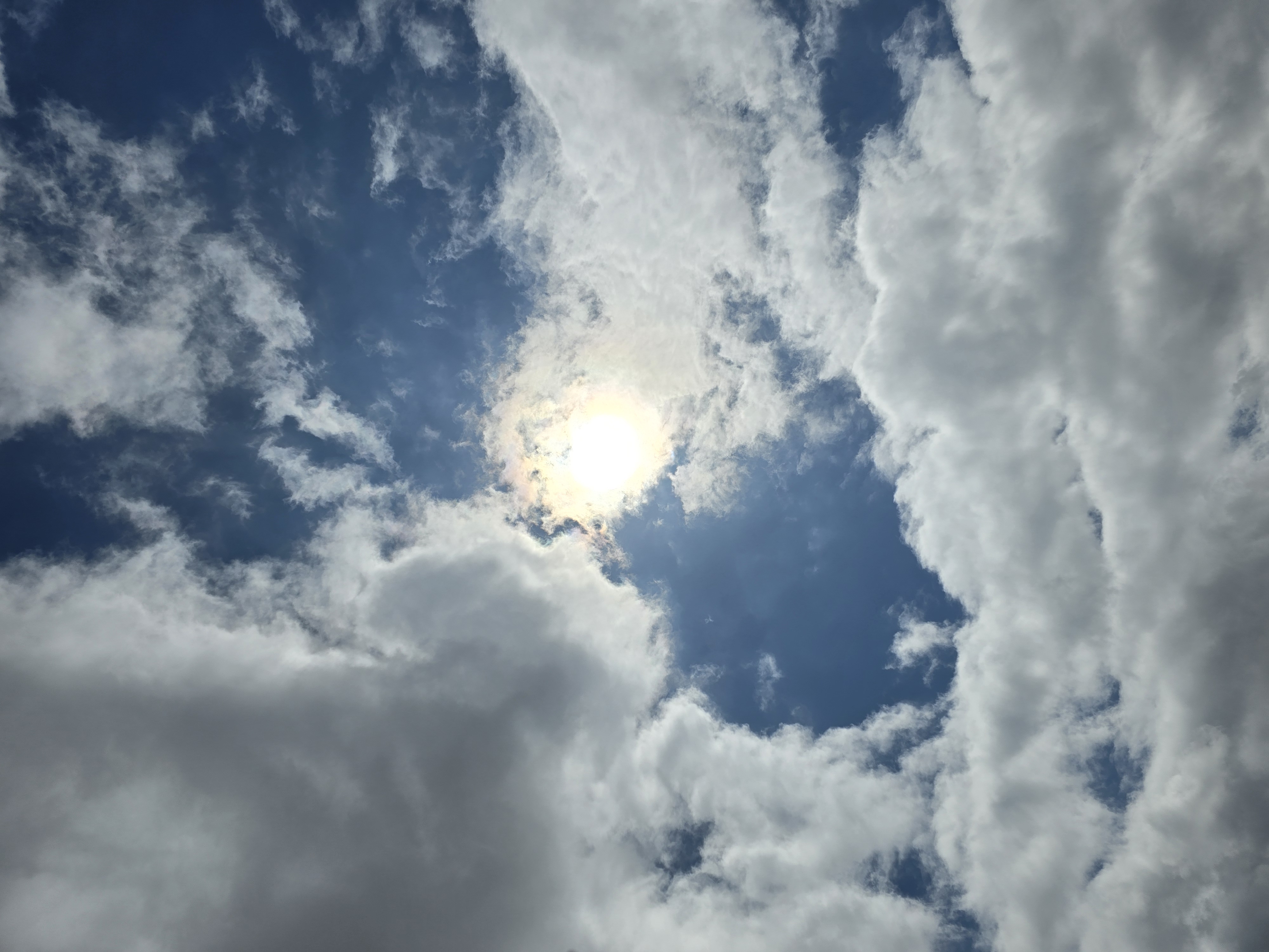 Avatar for SE Family Farms LLC