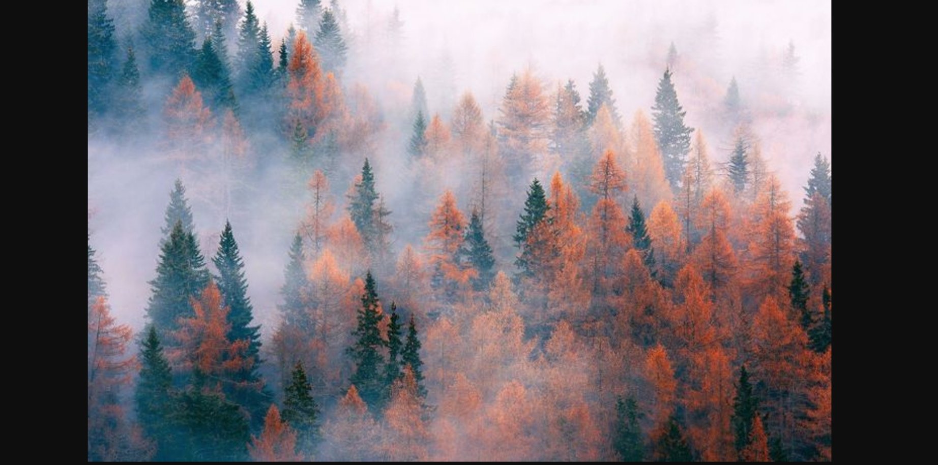 Avatar for luxury lawn renovations