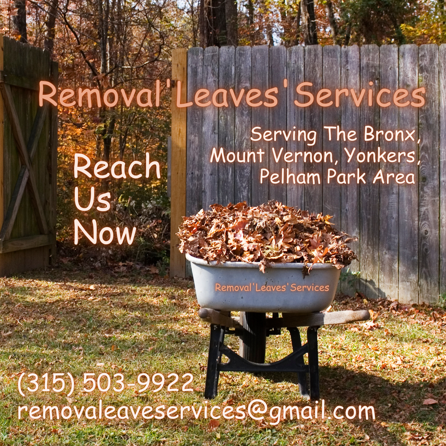 Avatar for Removal'Leaves'Services
