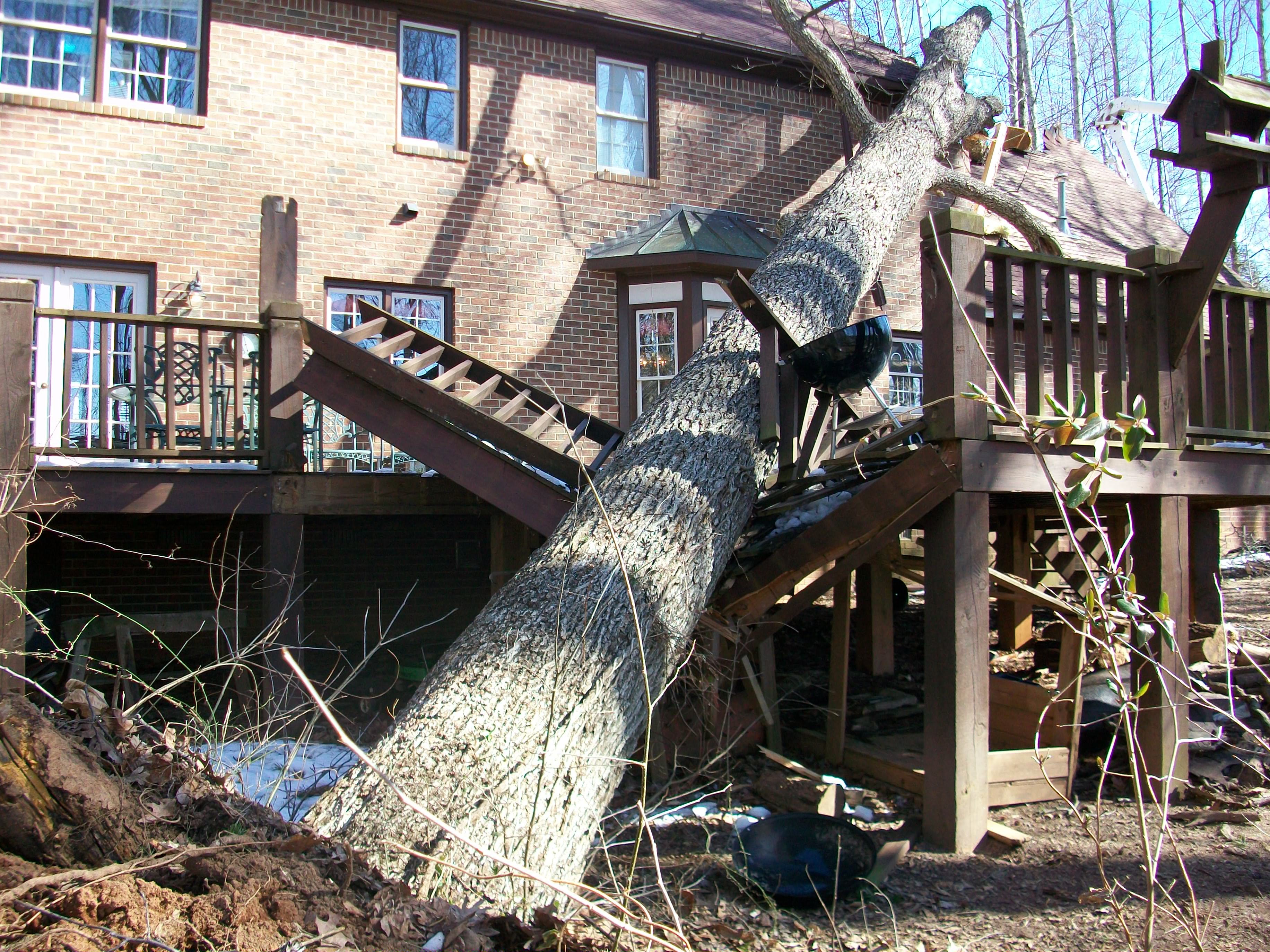 Avatar for First Call Cleaning and Restoration