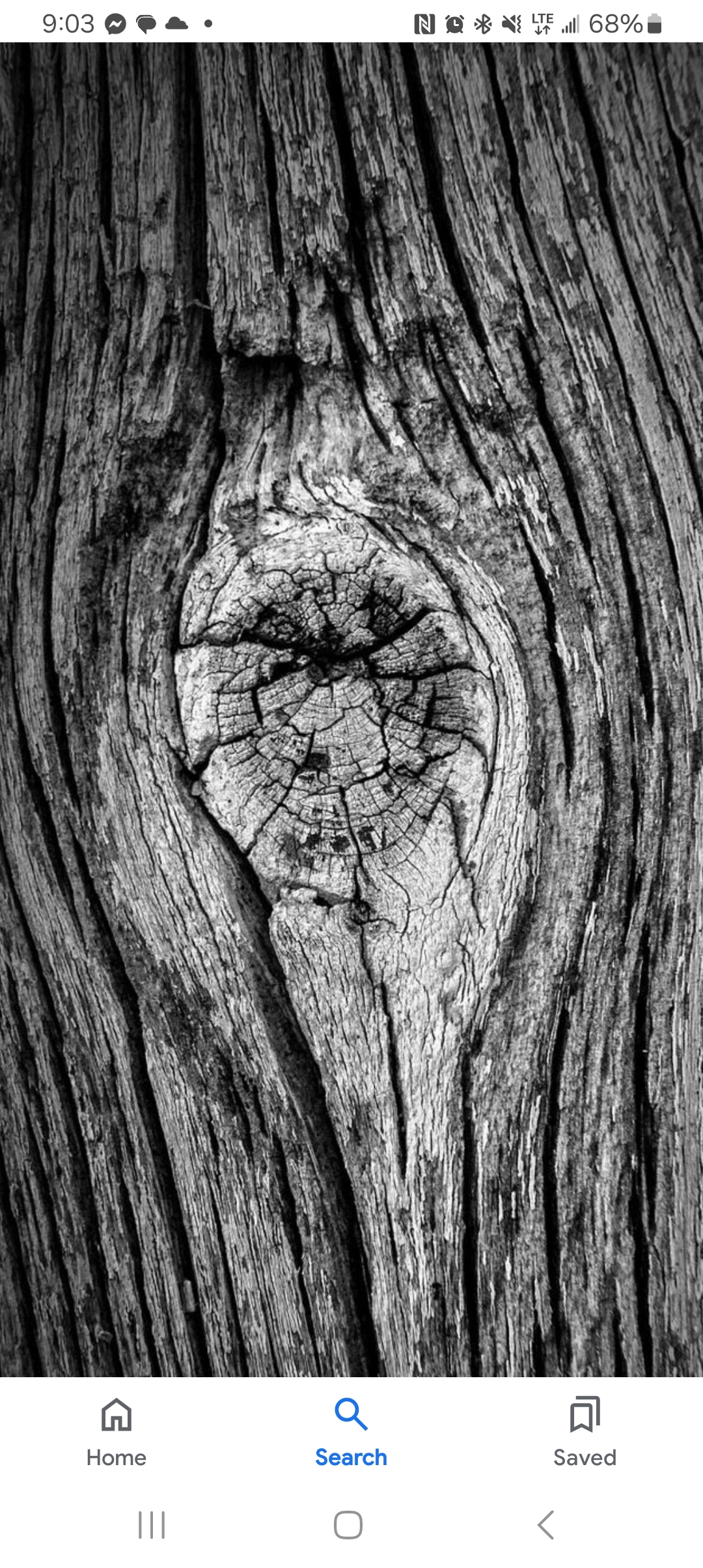 Avatar for KajunKnottz