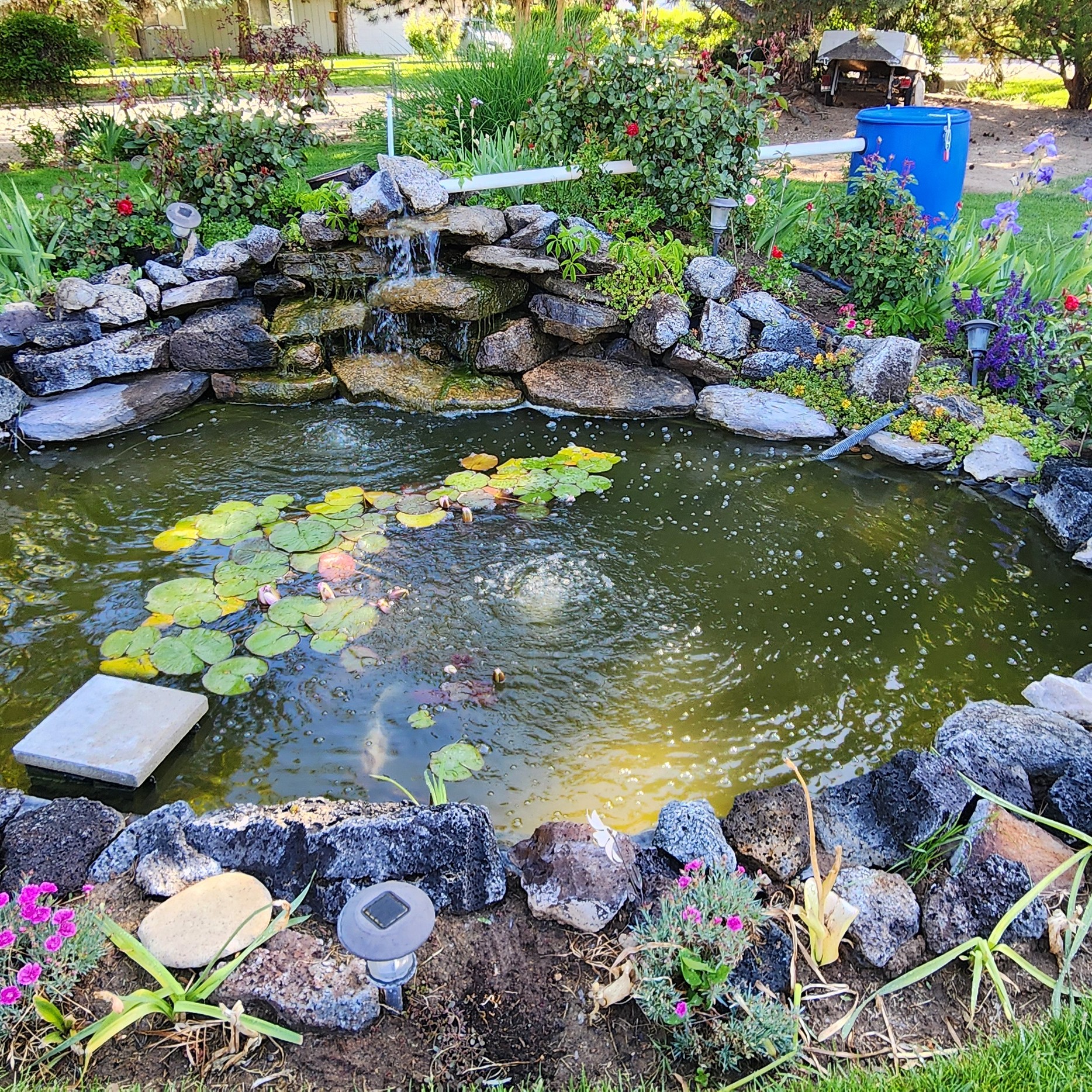 Avatar for Dunn Right Services