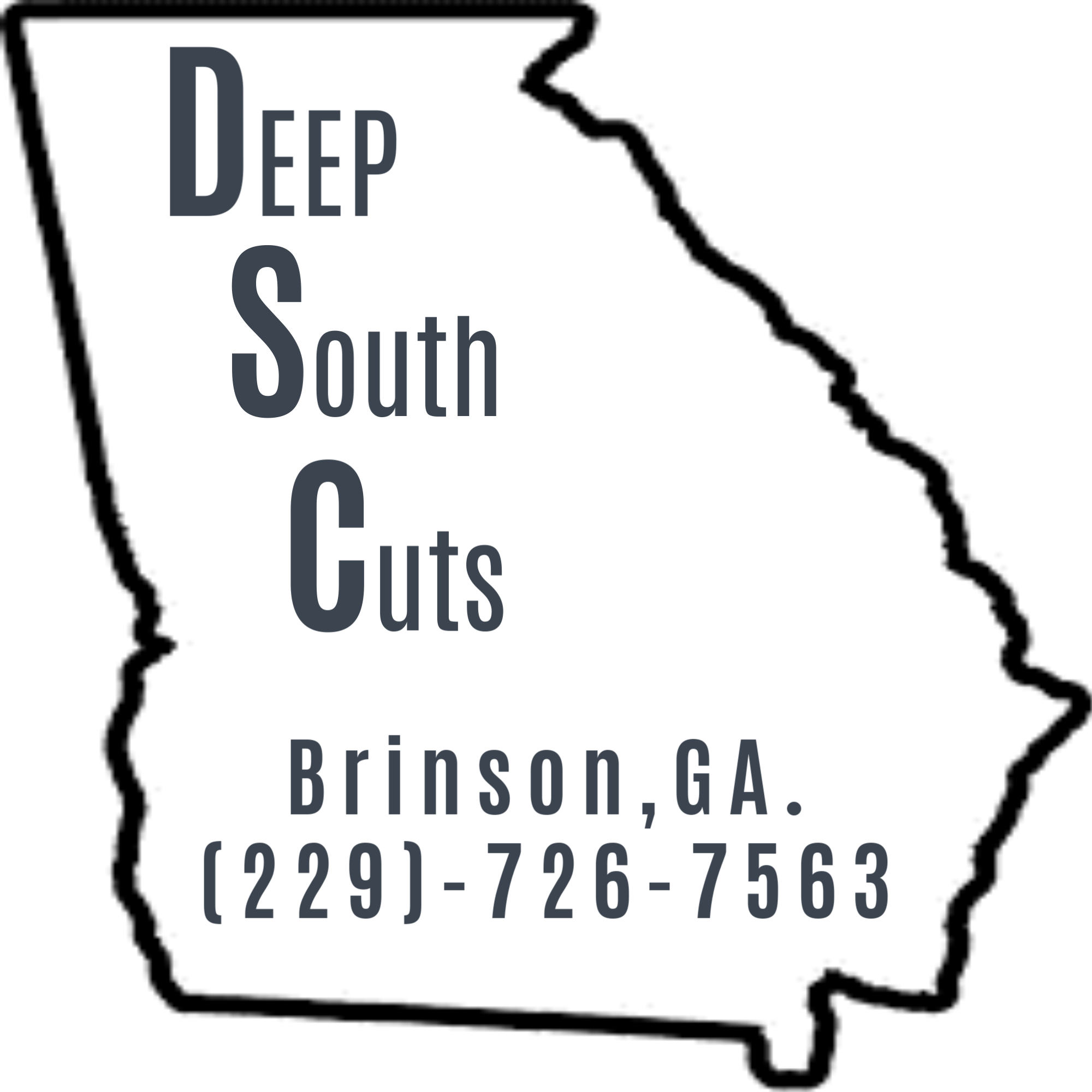 DSC PROPERTY MANAGEMENT  logo
