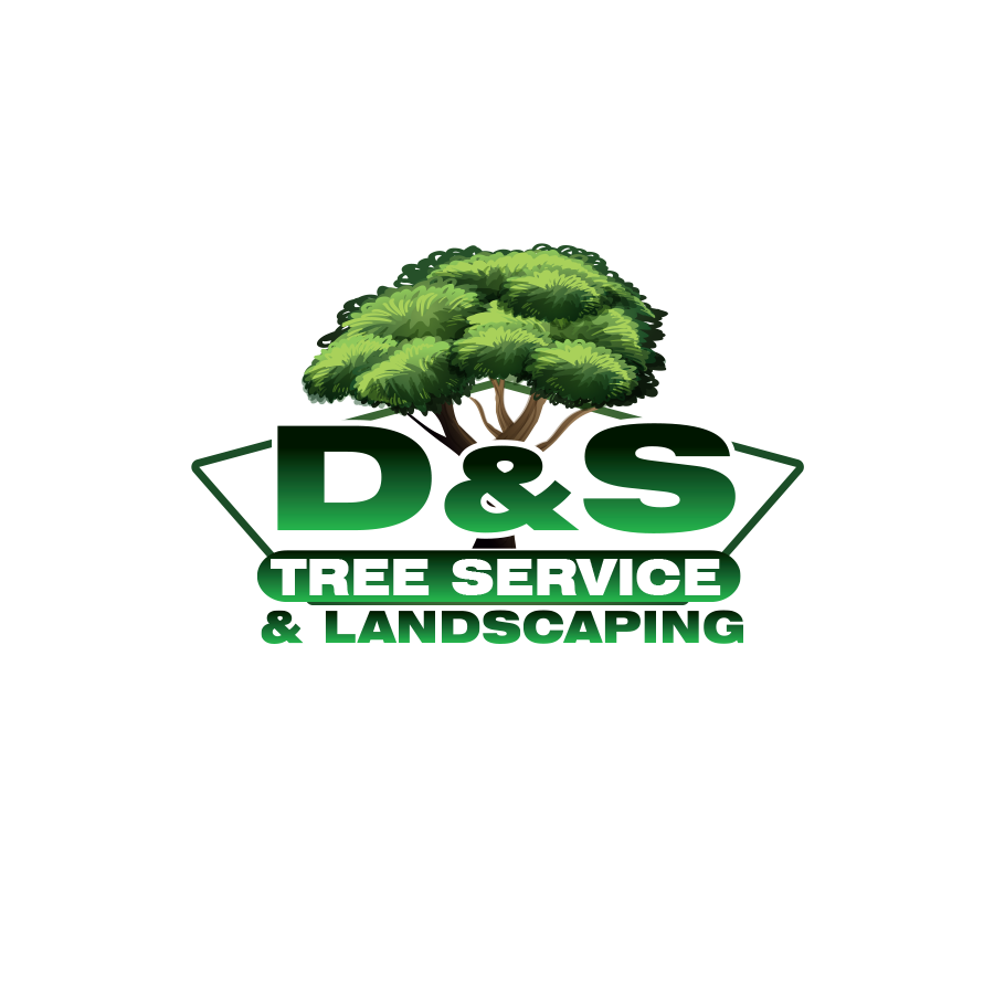 Avatar for DS Tree Service