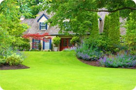 Avatar for Commonwealth Lawn Care Services