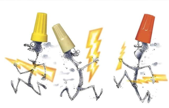 Avatar for Wire Nuts Electric Inc.