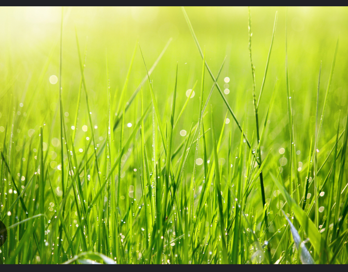 Avatar for Budzinas mowing