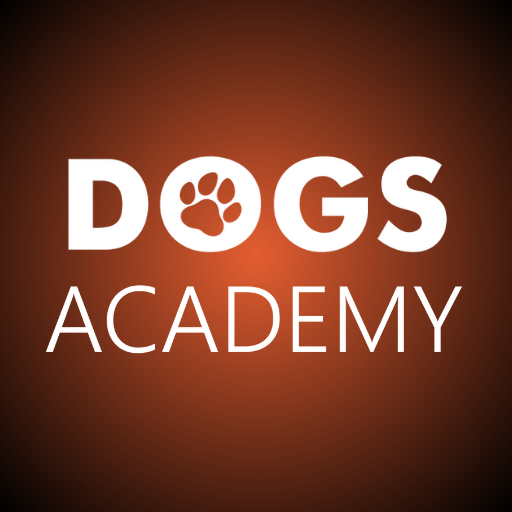 Avatar for Dogs Academy