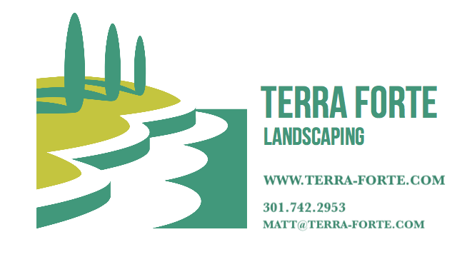 Terra Forte Landscaping logo
