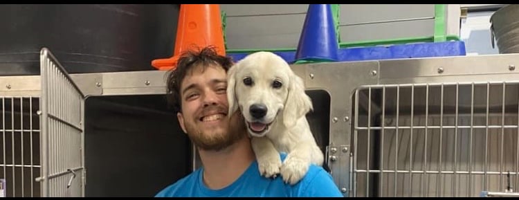 Avatar for Bliss Dog Services