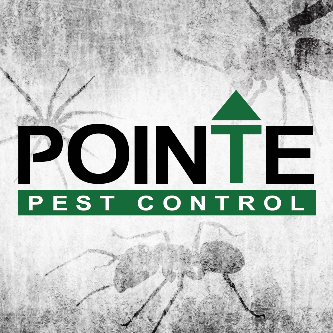Avatar for Pointe Pest Control | Missoula