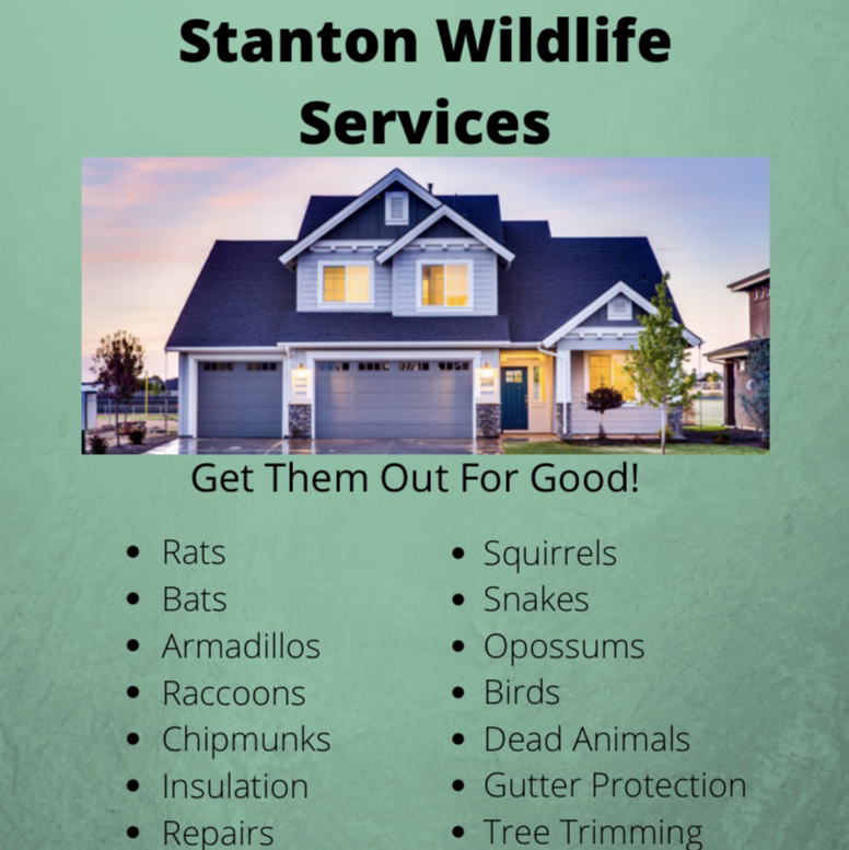 Avatar for Stanton wildlife services